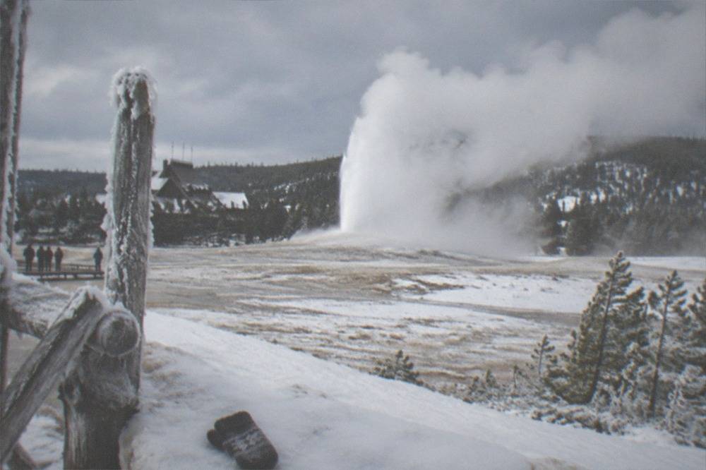 A geyser erupting in a snow-covered basin with steam drifting over ice-coated trees under gray sky