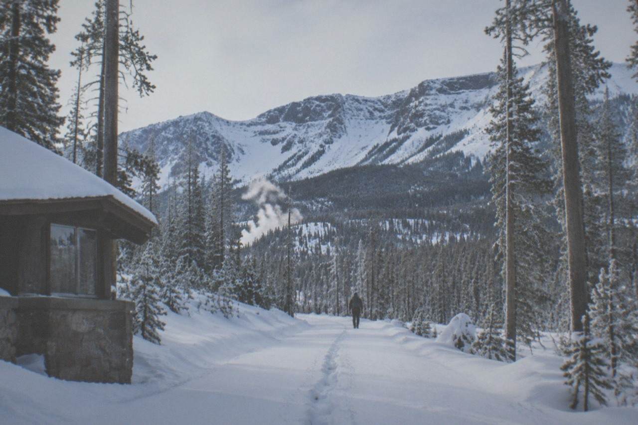 Snow-covered pine forest and mountains under a pale winter sky in Yellowstone