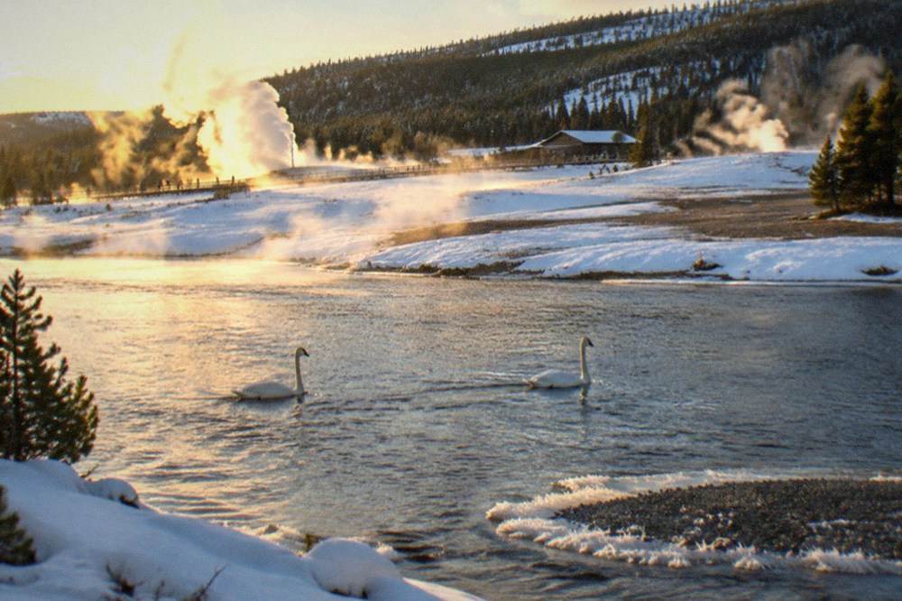 A groomed winter road through snowy Yellowstone forest with a guide-led line of snowmobiles