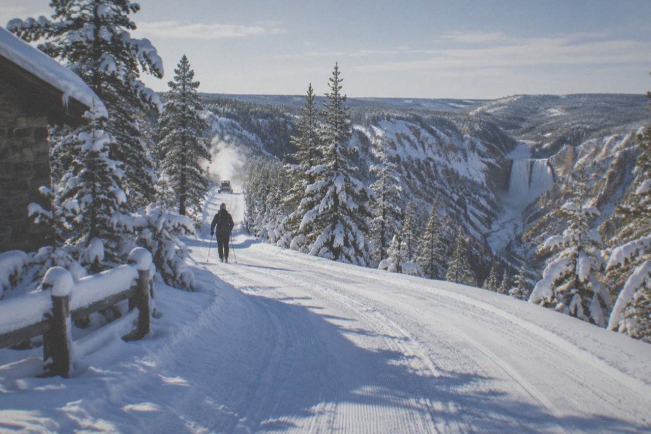 Groomed snow road winding through frosted pine trees in Yellowstone in winter