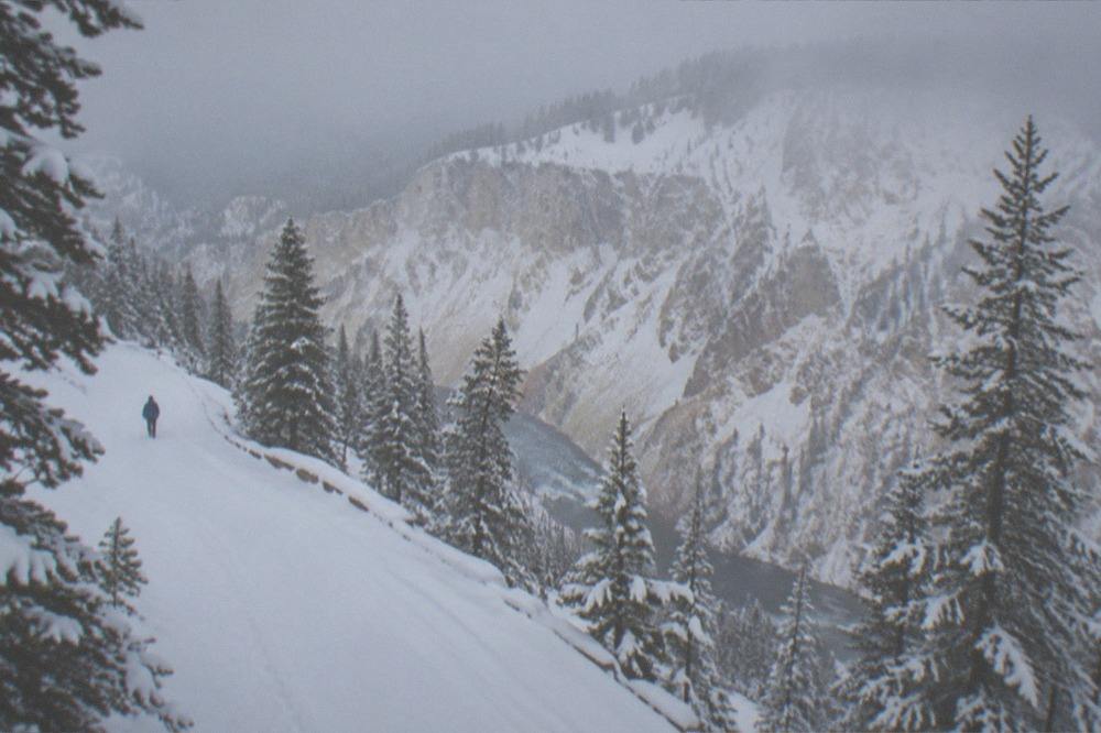 An empty groomed snow road winding between snow-laden evergreens toward distant white mountains
