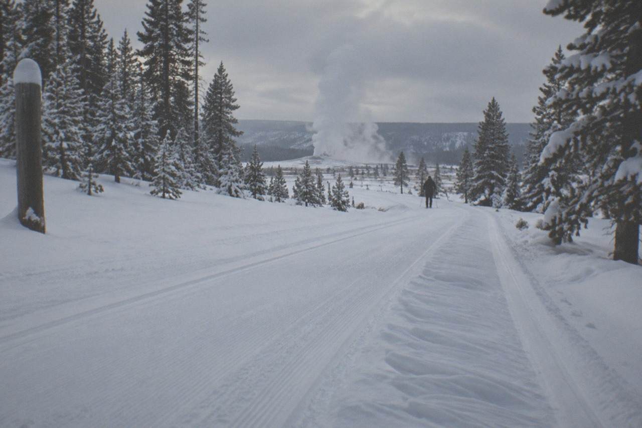 Groomed snowmobile track winding through snow-covered lodgepole forest toward distant geyser steam